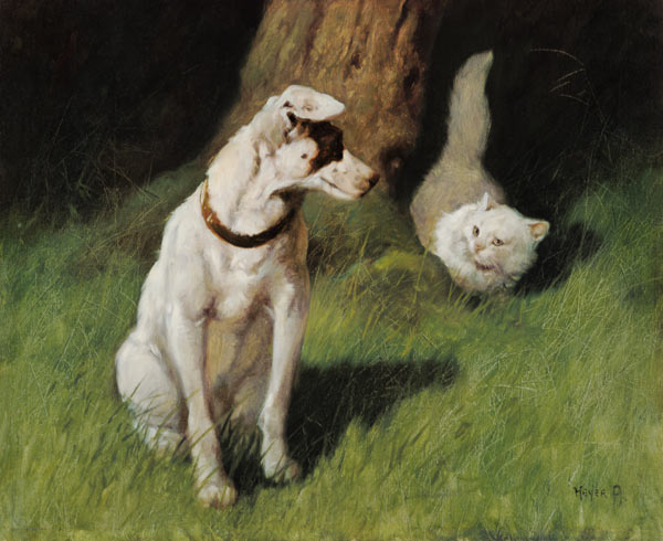 White Persian Cat and Jack Russell a Arthur Heyer