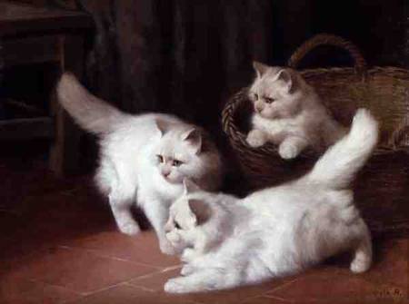 Three White Angora Kittens a Arthur Heyer