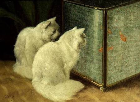 White Cats Watching Goldfish a Arthur Heyer