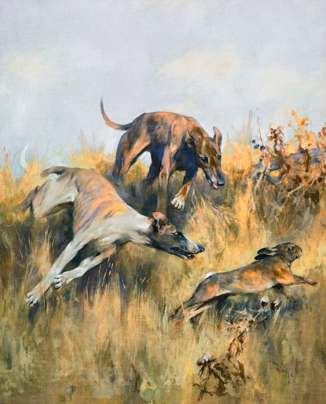 Greyhounds Giving Chase a Arthur Wardle