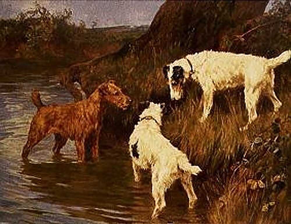 Three terriers at a riverbank a Arthur Wardle
