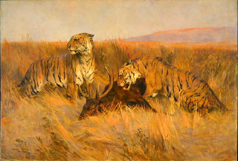 Tigers at Kill a Arthur Wardle