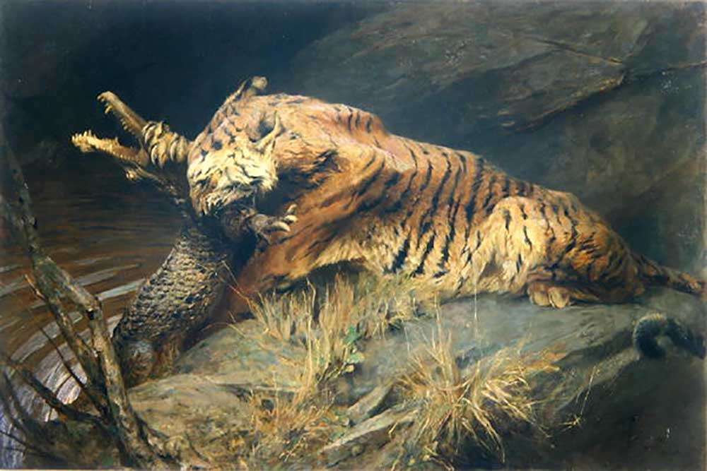 Tiger and Crocodile a Arthur Wardle