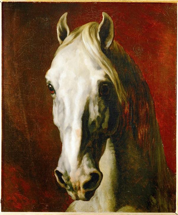 Head of a white horse a (attr. a) Theodore Gericault