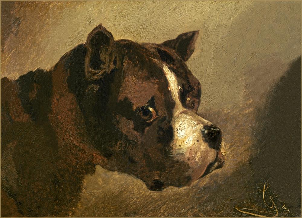Head of a Bulldog a (attr. a) Theodore Gericault