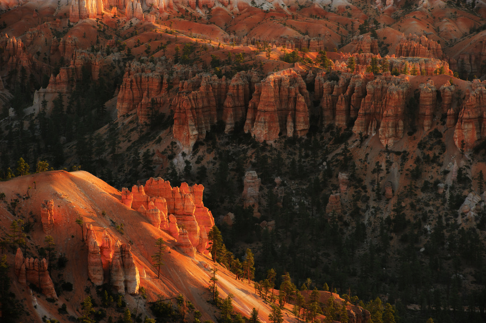 Sunrise at Bryce Canyon a 李从军 / Austin Li