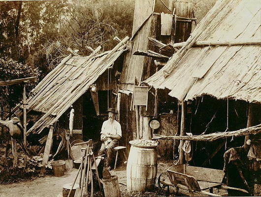 Australian prospector, c.1880s (sepia photo) a Australian School, (19th century)
