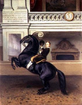 Crown Prince Rudolph of Austria (1858-89) on horseback in the Winter Riding School of the Hofburg, V