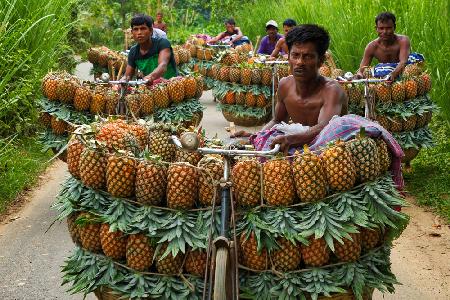 Pineapple seller