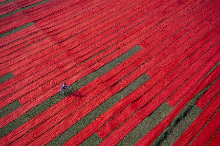 Bicyclist on the red fabrics