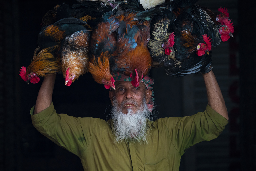 Cock seller a Azim Khan Ronnie