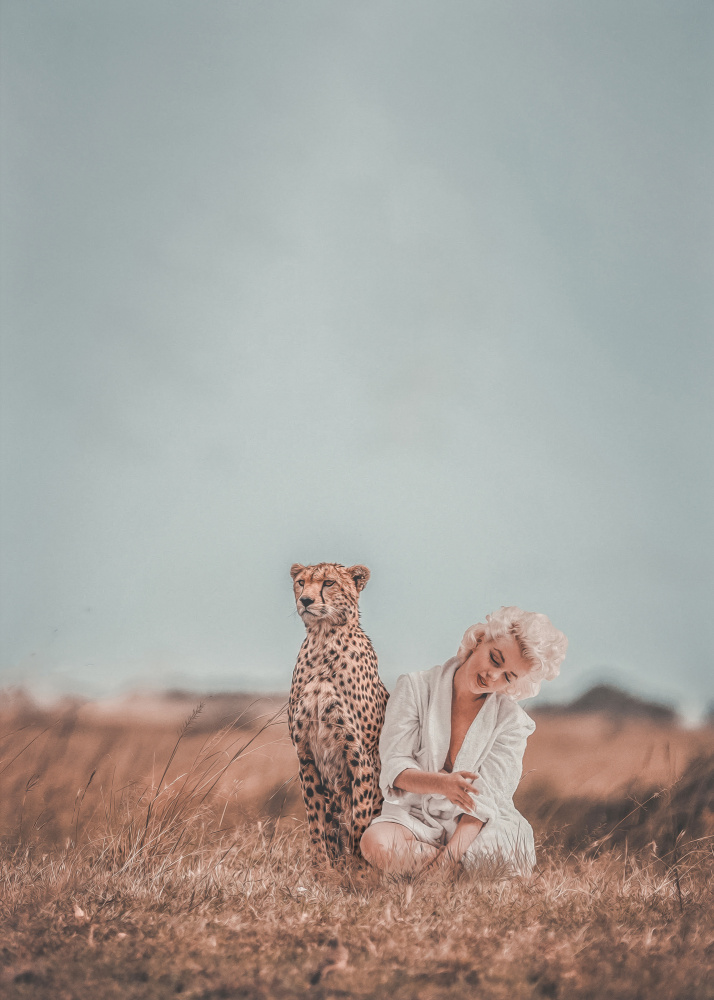 Marilyn And The Cheetah a Baard Martinussen