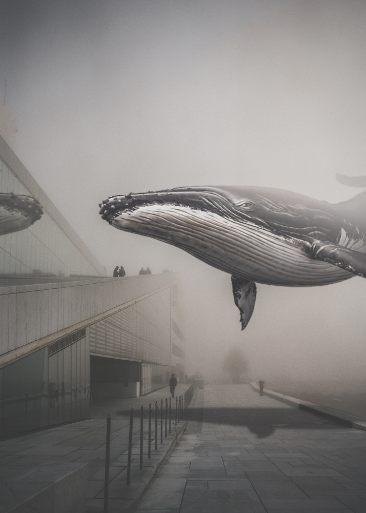 Whale nr. 28 a Baard Martinussen