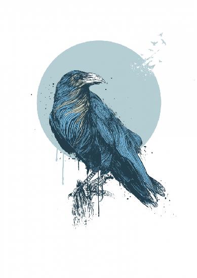 Blue crow