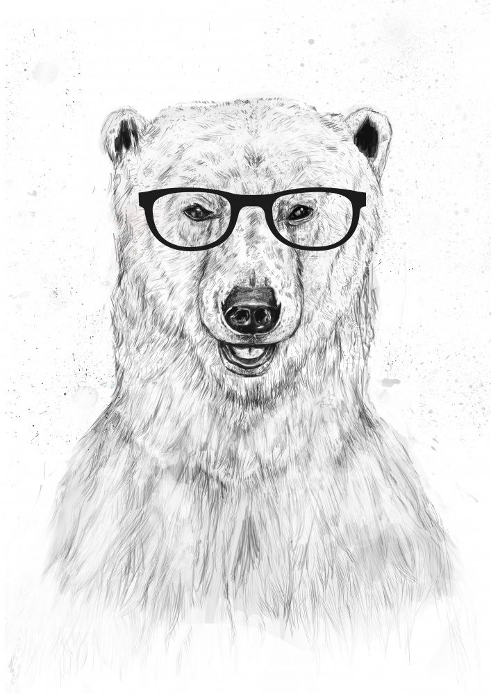 Geek bear a Balazs Solti