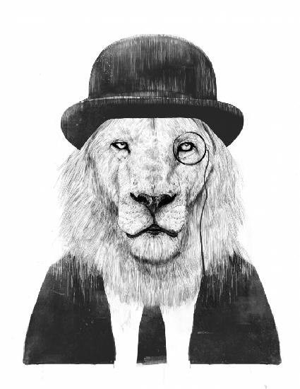 Sir Lion