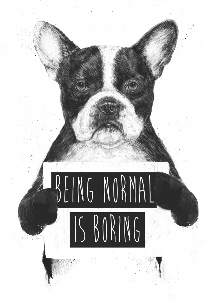 Being Normal Is Boring a Balazs Solti