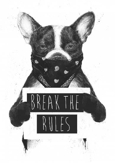 Rebel dog