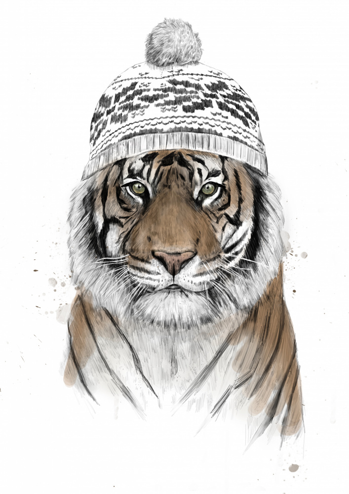 Siberian tiger a Balazs Solti