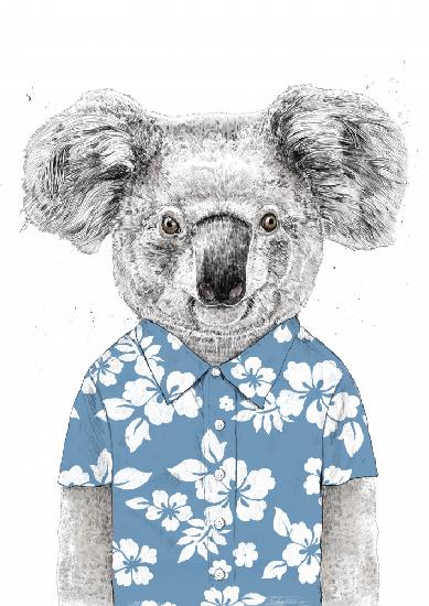 Summer Koala (blue)