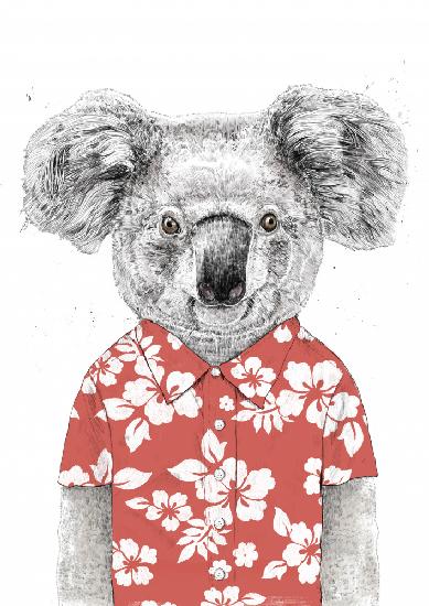 Summer koala (red)