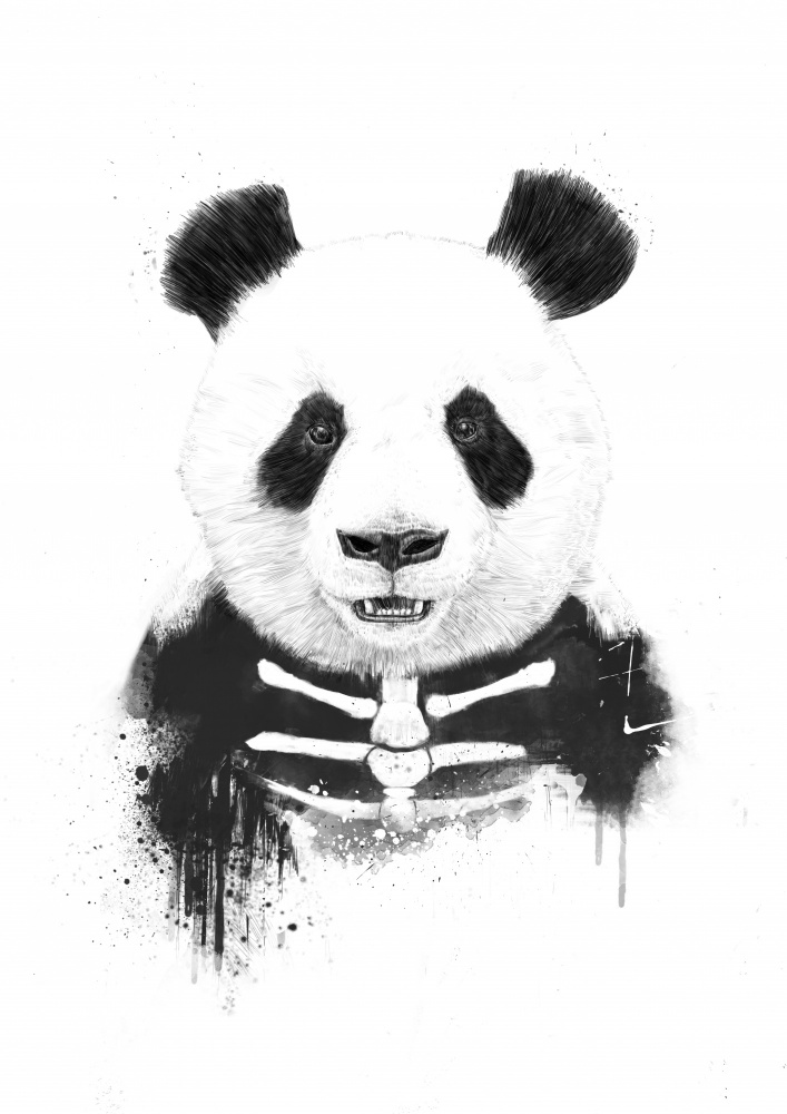 Zombie Panda a Balazs Solti