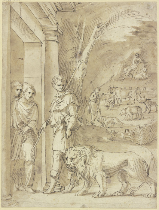 Androcles and the lion a Baldassare Peruzzi