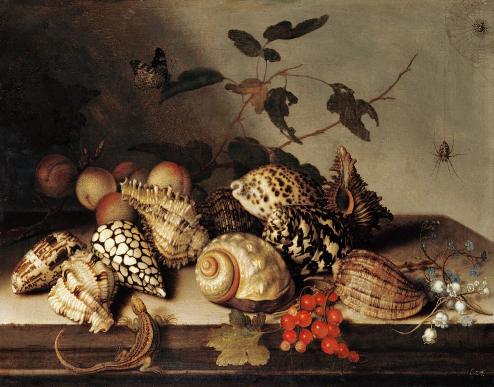 conchiglie e frutta a Balthasar van der Ast