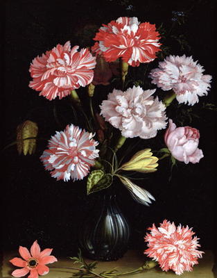Floral Study: Carnations in a Vase (oil on panel) a Balthasar van der Ast
