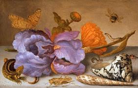 Still life depicting flowers, shells and insects (oil on copper) (for pair see 251378)