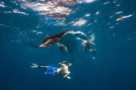 Dive with Manta Ray