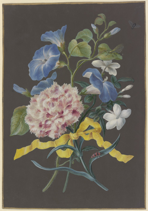 Blumengebinde mit rosa Nelke (Dianthus), blauer Winde (Convolvulus) und weißem Jasmin (Jasminum), mi a Barbara Regina Dietzsch