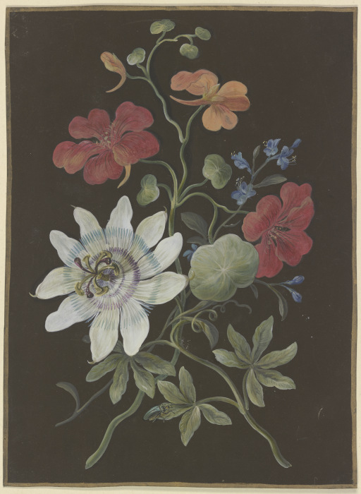 Gesteck aus Passionsblume (Passiflora), roter Kapuzinerkresse (Tropaeplum) und Vergißmeinnicht (Myos a Barbara Regina Dietzsch