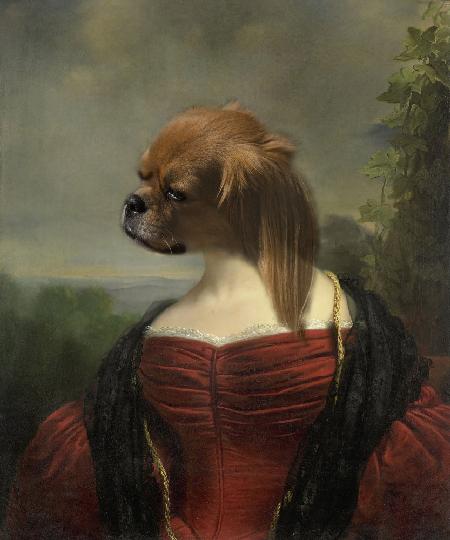 dog portrait 1