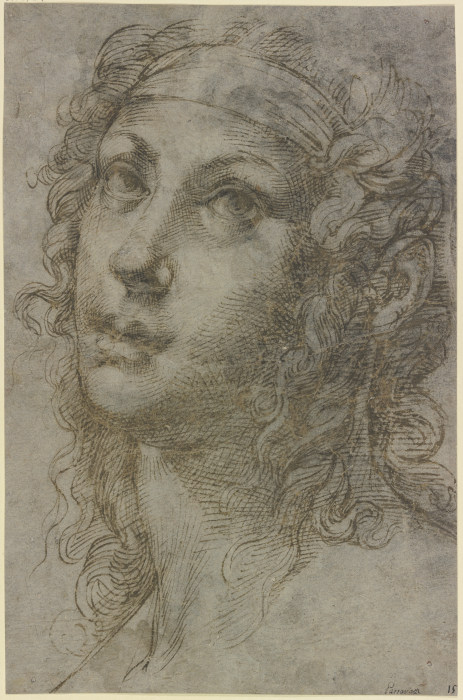 Kopf einer jungen Frau im Dreiviertelprofil nach links a Bartolomeo Passarotti