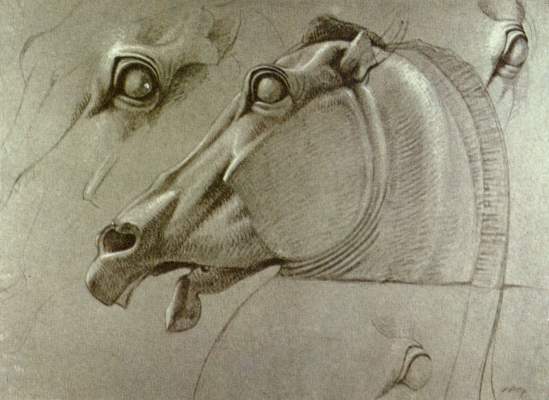 Head of the horse the Selene a Benjamin Robert Haydon