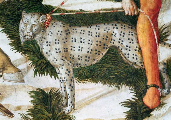 Leopardo (particolare nella Cappella dei Magi) a Benozzo Gozzoli