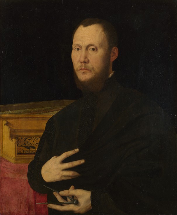 Portrait of a Musician a Bernardino Campi