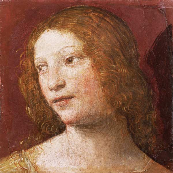 Head of a Young Woman a Bernardino Luini