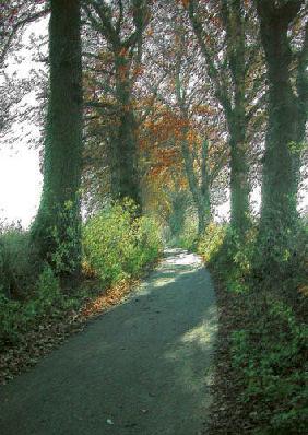 Path near Reinbek