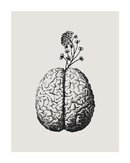 Brain Bloom