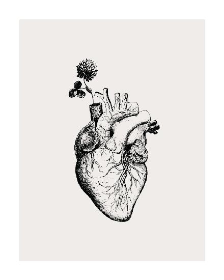 Heart Bloom