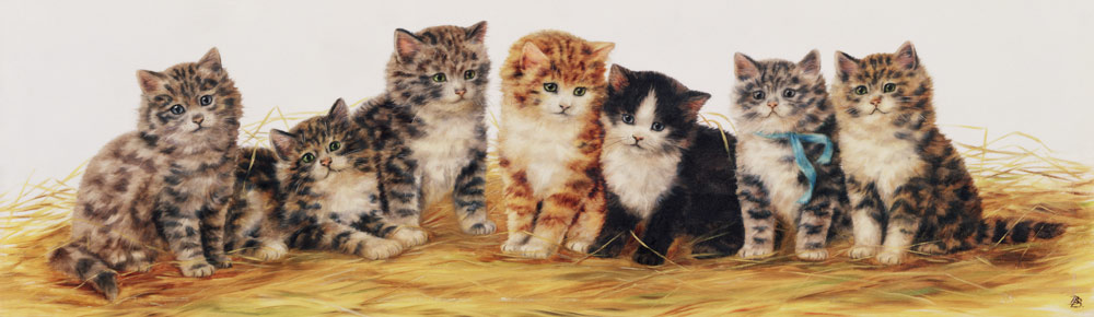 Seven Kittens a Betsy Bamber