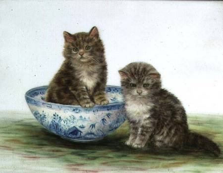 Kitten in a Blue China Bowl a Betsy Bamber