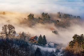 Misty winter days