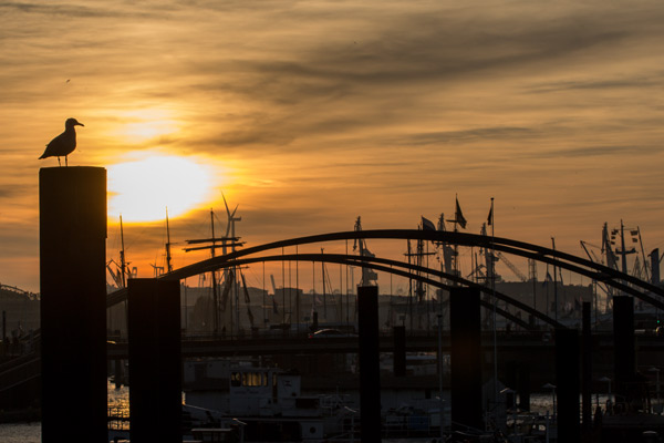 Moewe Hafen (Hamburg) a Birge George