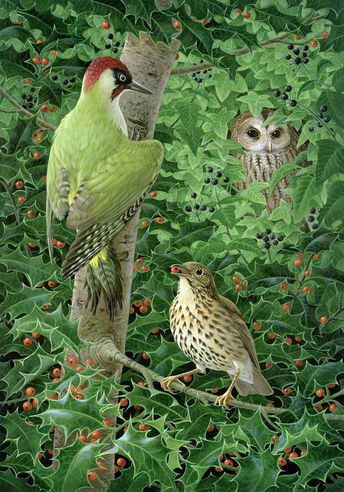 Woodpecker, Owl and Thrush a Birgitte  Hendil