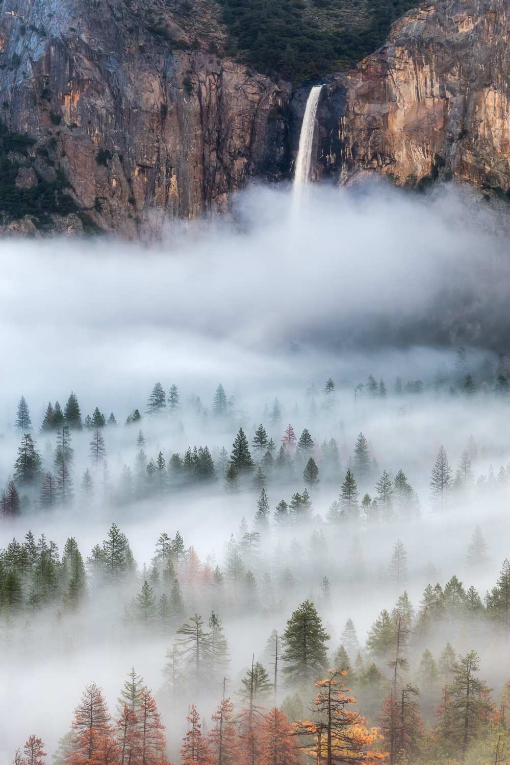 Mist Falls a Brandon Yoshizawa