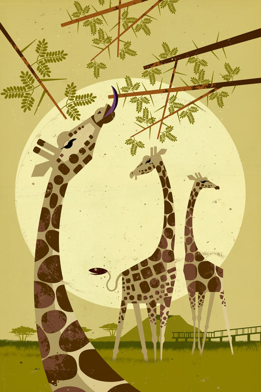 Giraffes a Dieter Braun
