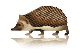 Hedgehog